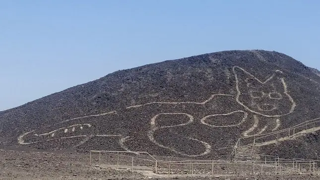 GATO DE NAZCA: nueva figura de las líneas arquelógicas