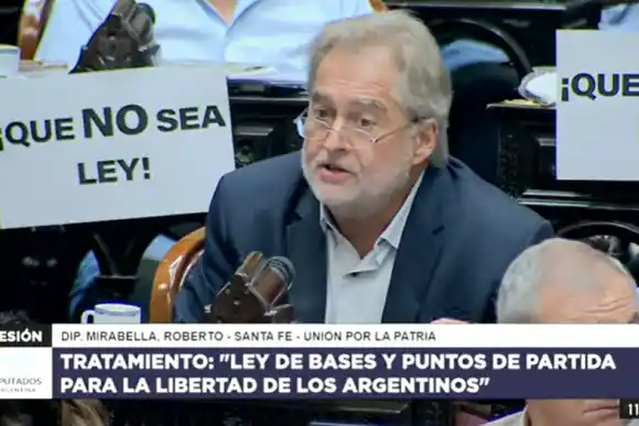 Mirabella: "en esta Ley no hay nada que beneficie a la provincia de Santa Fe, voy a votar negativamente"
