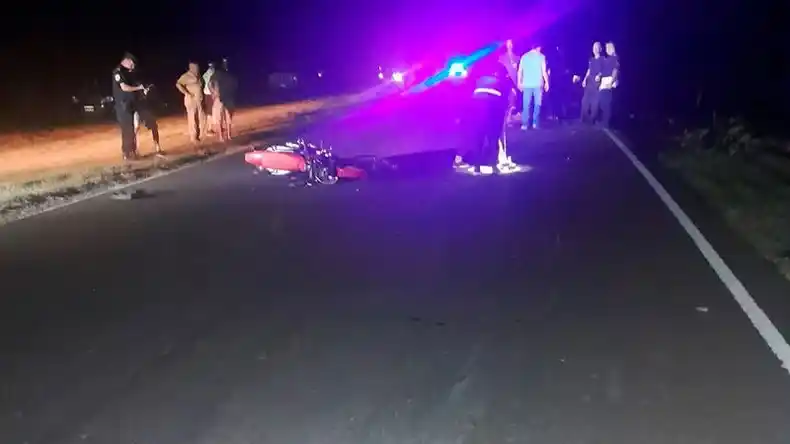 Accidente fatal: dos hombres murieron en la Ruta 11 tras chocar con un caballo