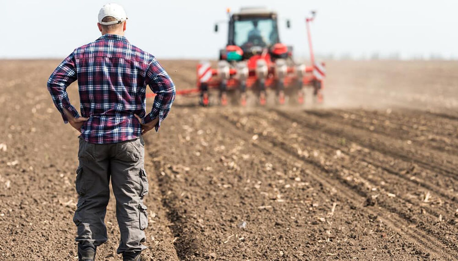 Según la Universidad Austral, las políticas agropecuarias están frenando la confianza de los productores