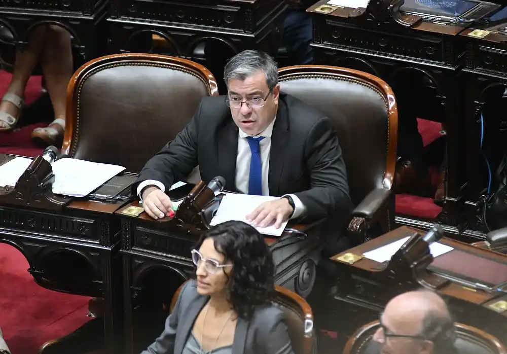 Germán Martínez, presidente del bloque oficialista.