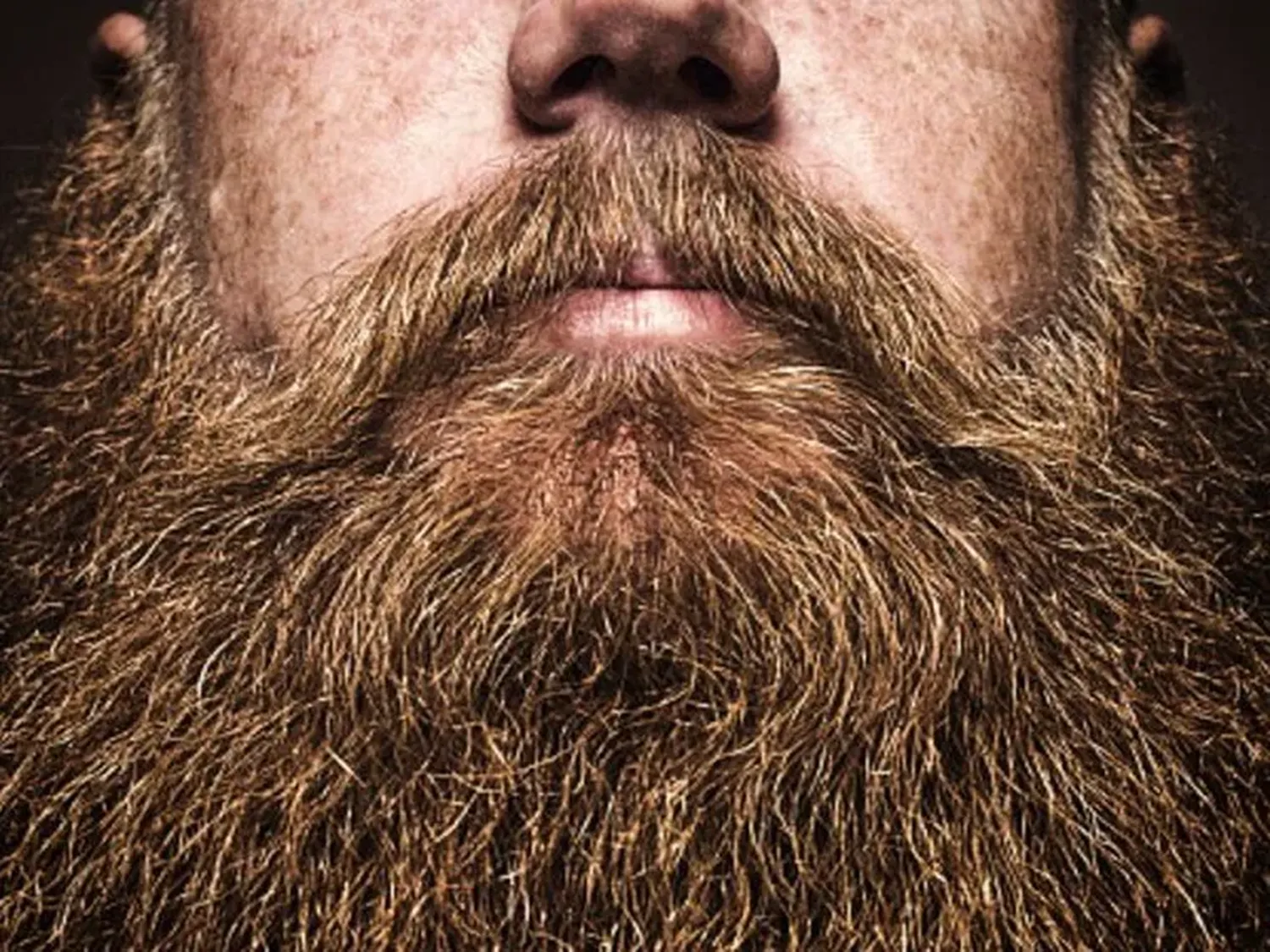 La barba no es solo para hombres ¡Mirá!