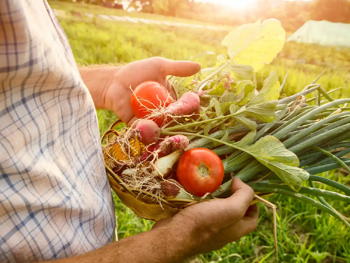  Las economías regionales emplean hasta cuatro veces más personas que las del centro