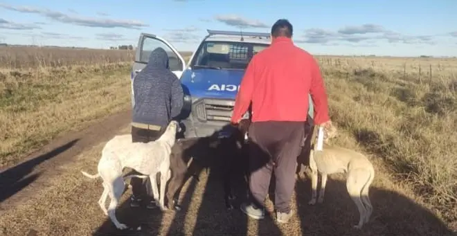 Por segunda vez ingresaron a cazar a un campo sin permiso y en época de veda.