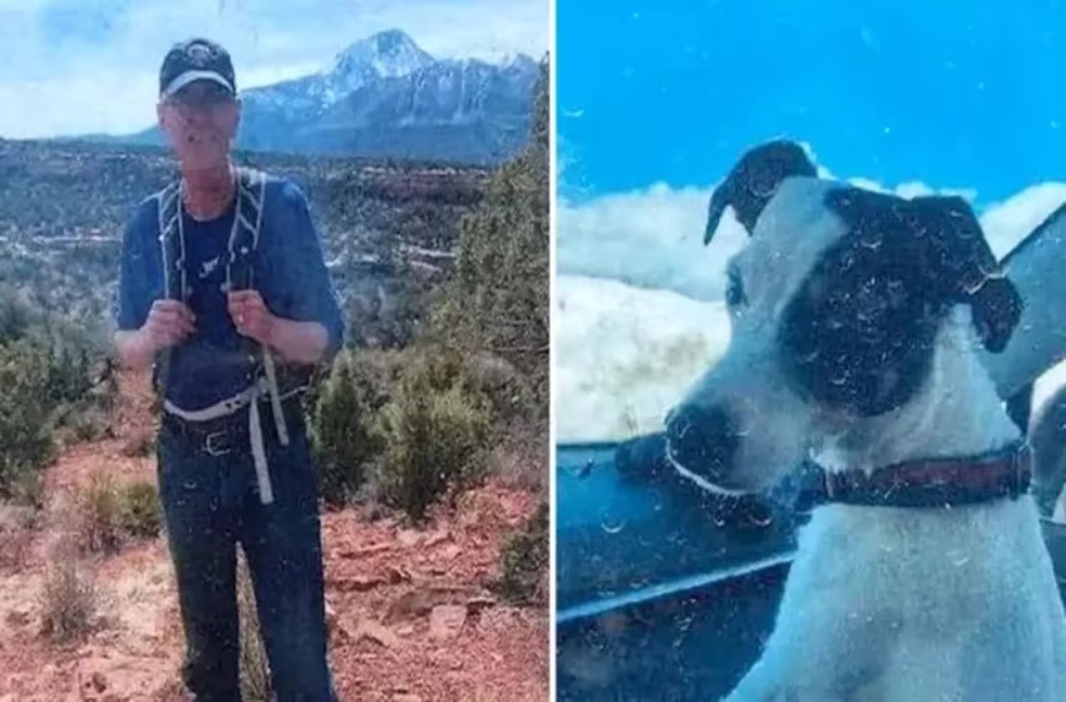 Encontraron muerto a un senderista desaparecido desde agosto: su perro seguía vivo y a su lado