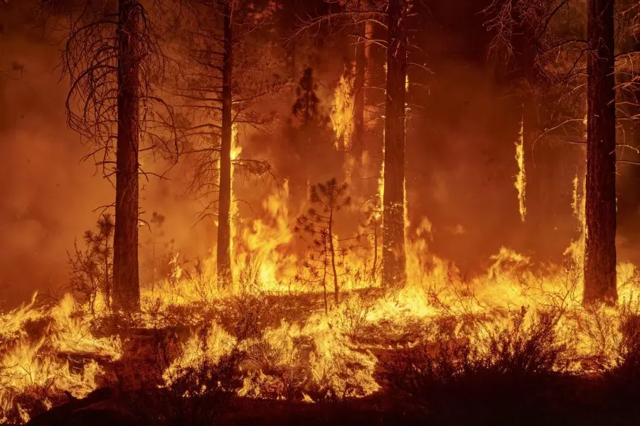 Reunión para prevenir incendios forestales