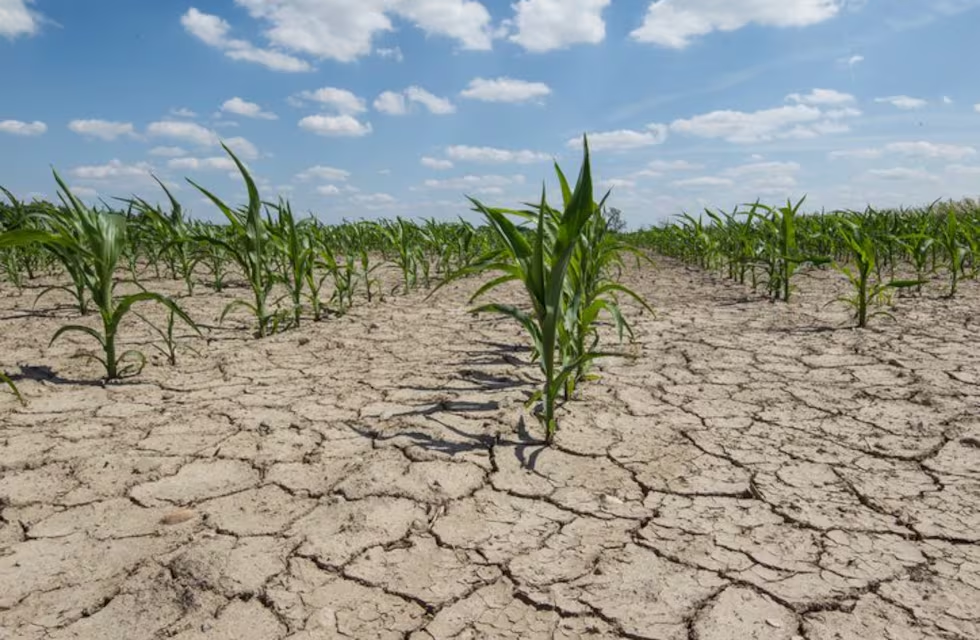 "La Niña", el fenómeno que llega a Sudamérica y golpeará a la Argentina
