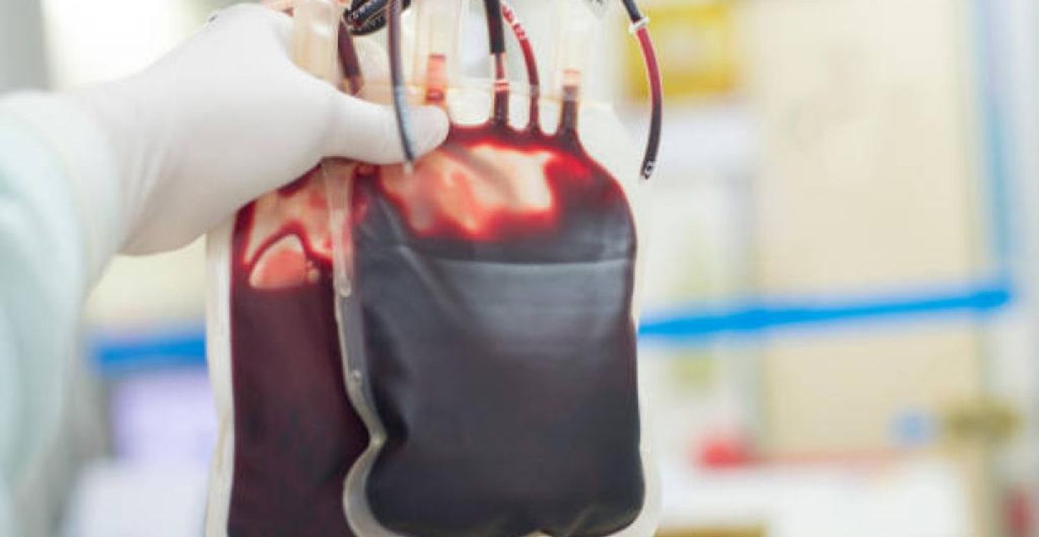 UNA ALTERNATIVA: científicos crean sangre artificial compatible con todos los tipos