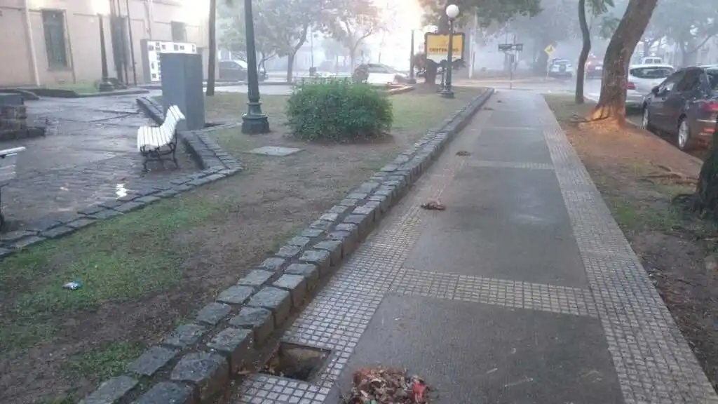 El municipio refuerza las tareas de limpieza de espacios públicos