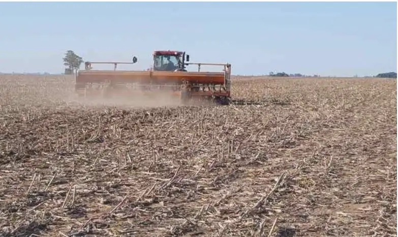 Entre Ríos declaró la emergencia agropecuaria