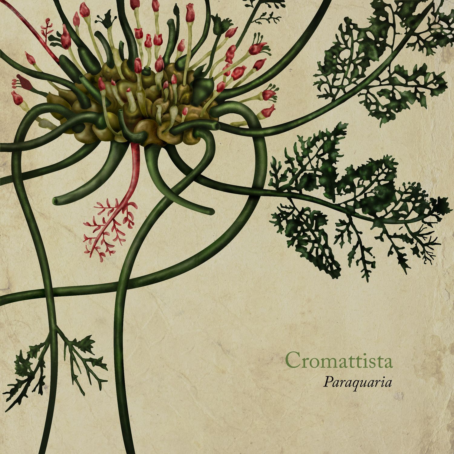 Cromattista lanzó Paraquaria, su primer disco en estudio