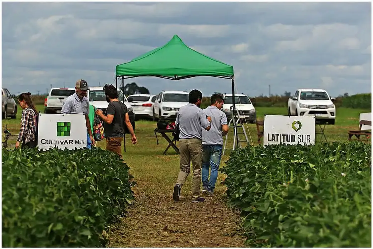 La Red CultivAR Maíz otro de los atractivos de Tecnobio 2023 en Tandil