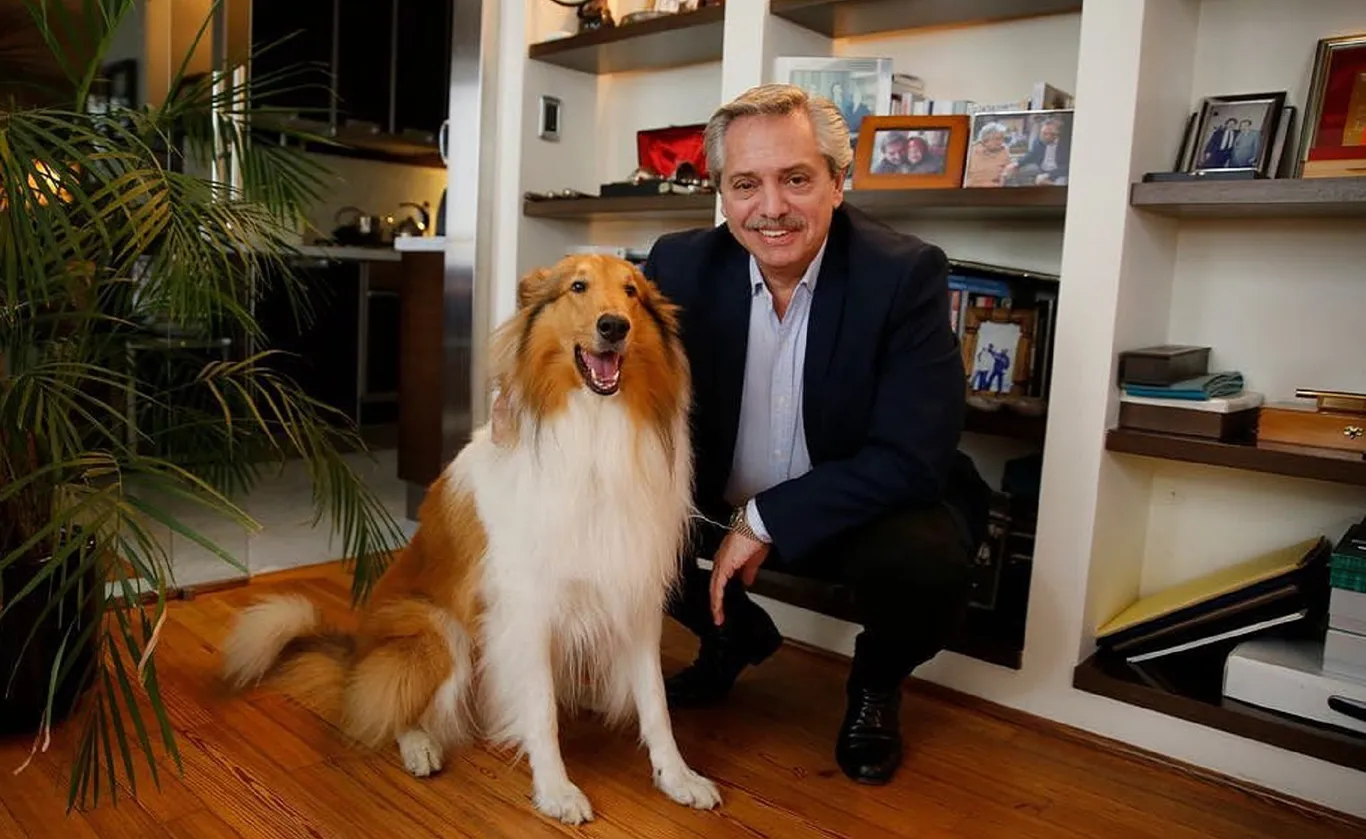 Alberto Fernández y su perro Dylan.