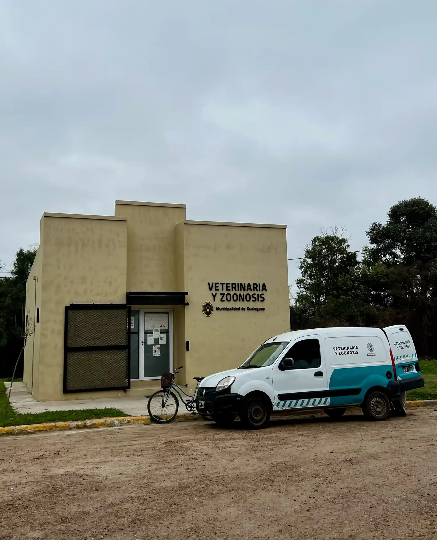 La importancia del cuidado y castración de gatos y perros