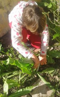 Alumnos rurales hacen huerta y logran reforzar los vínculos de la comunidad
