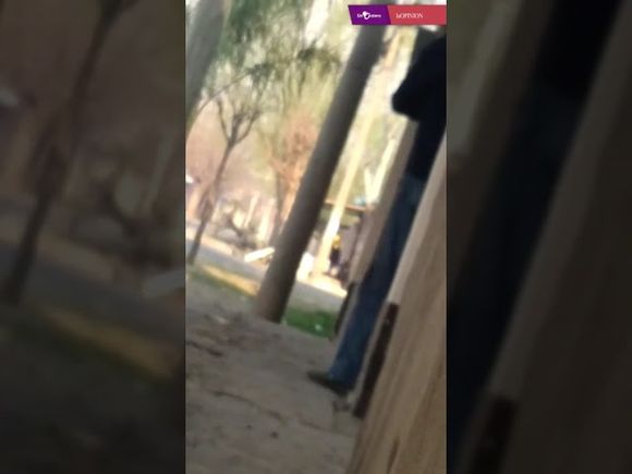 Tiros y corridas en el barrio Hermano Indio: “Así no se puede vivir”