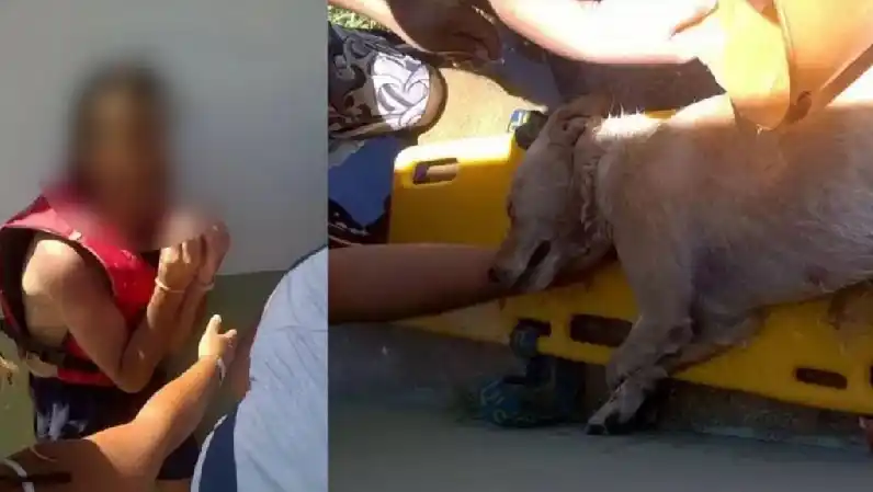 Dejó a su perro encerrado en el auto para ir a la playa y murió sofocado