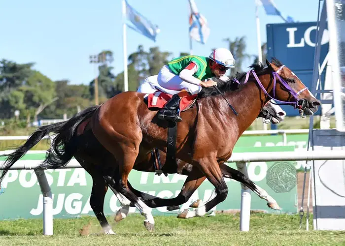 Miércoles 31/01: Actividad Hipódromo de San Isidro