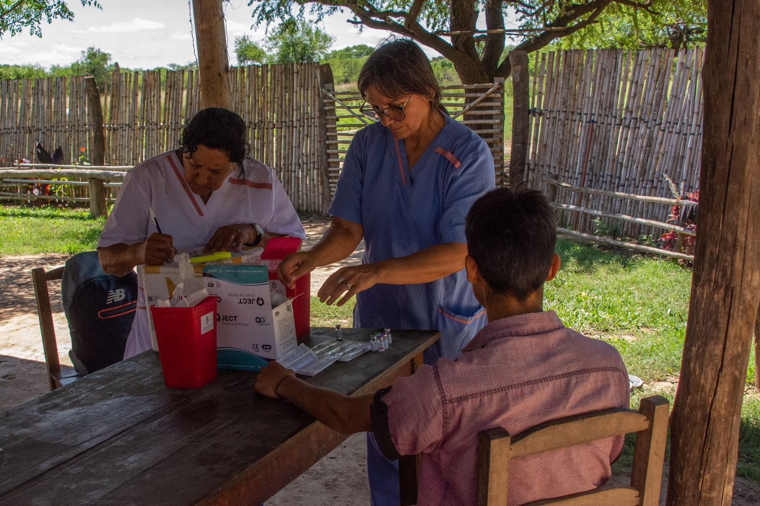 Dengue isla