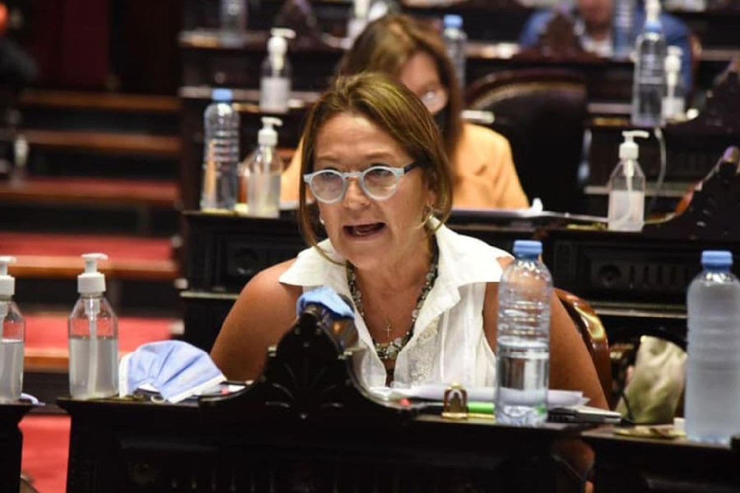 Marcela Campagnoli es la autora del proyecto que busca restringir las apuestas online.
