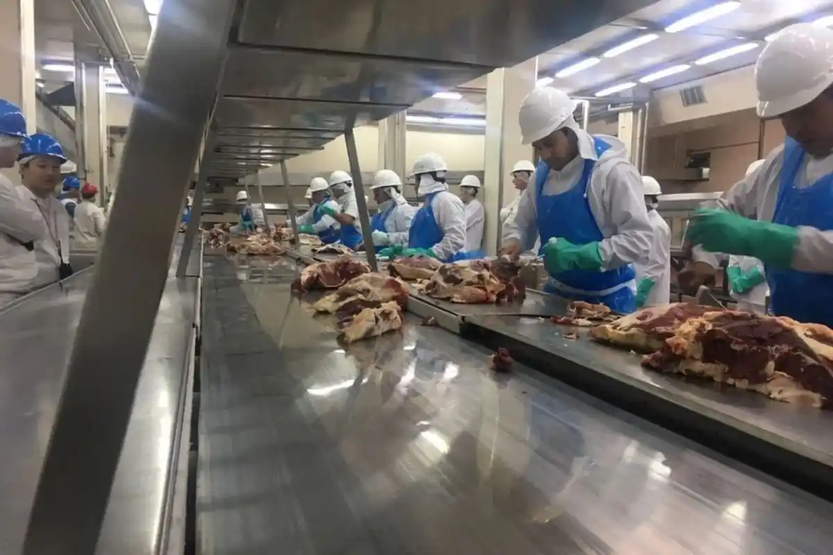 Del total de empresas que vendieron al exterior, el 69,3% fueron pequeñas y medianas empresas.