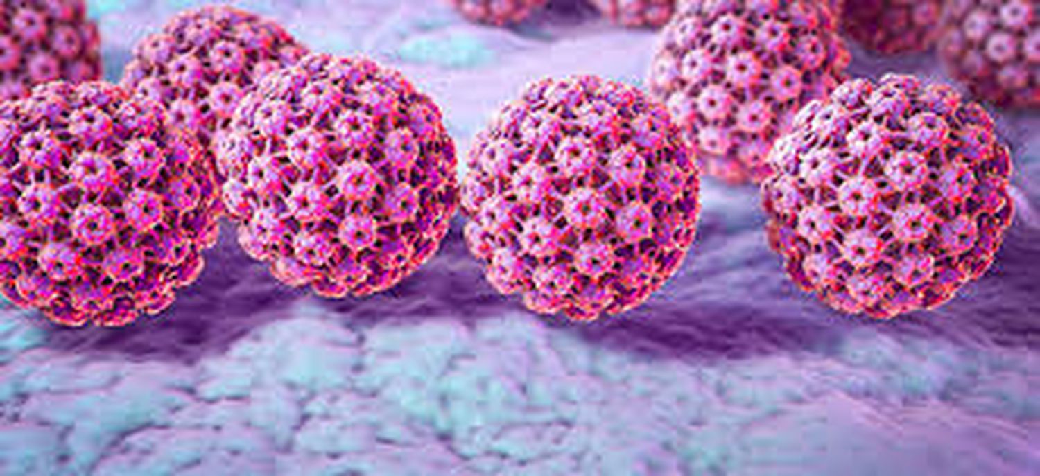 hpv - 3
