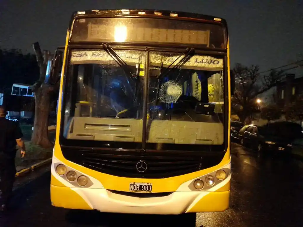 Mar del Plata: Colectivero no los dejó subir gratis y le tiraron un piedrazo