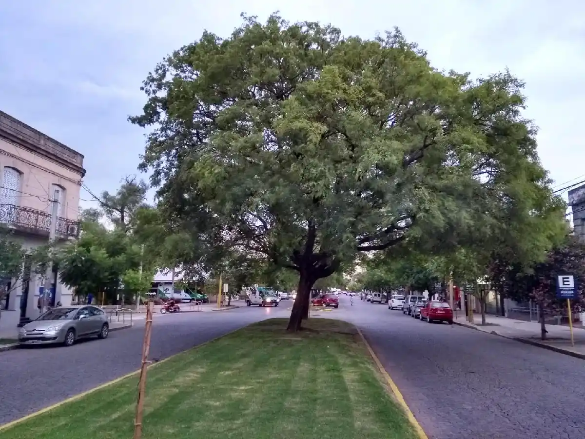 Ardió San Francisco: la sensación térmica fue de 55 grados