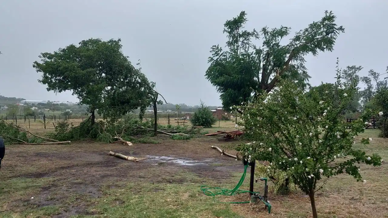 La tormenta causó numerosos daños en Victoria