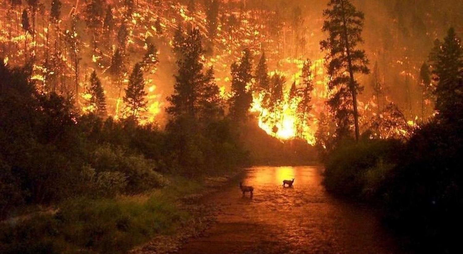 Mientras arde el pulmón del mundo, Bolsonaro se burla de los incendios en el Amazonas