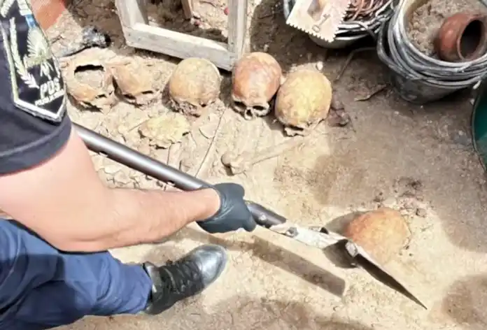 Macabro hallazgo en Ostende: aparecieron doce cráneos y restos óseos en el patio de una casa