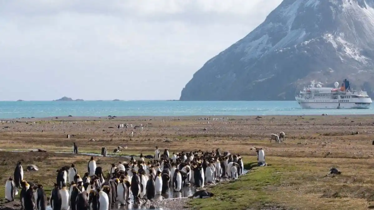 Fuerte sismo al este de las Islas Sandwich del Sur