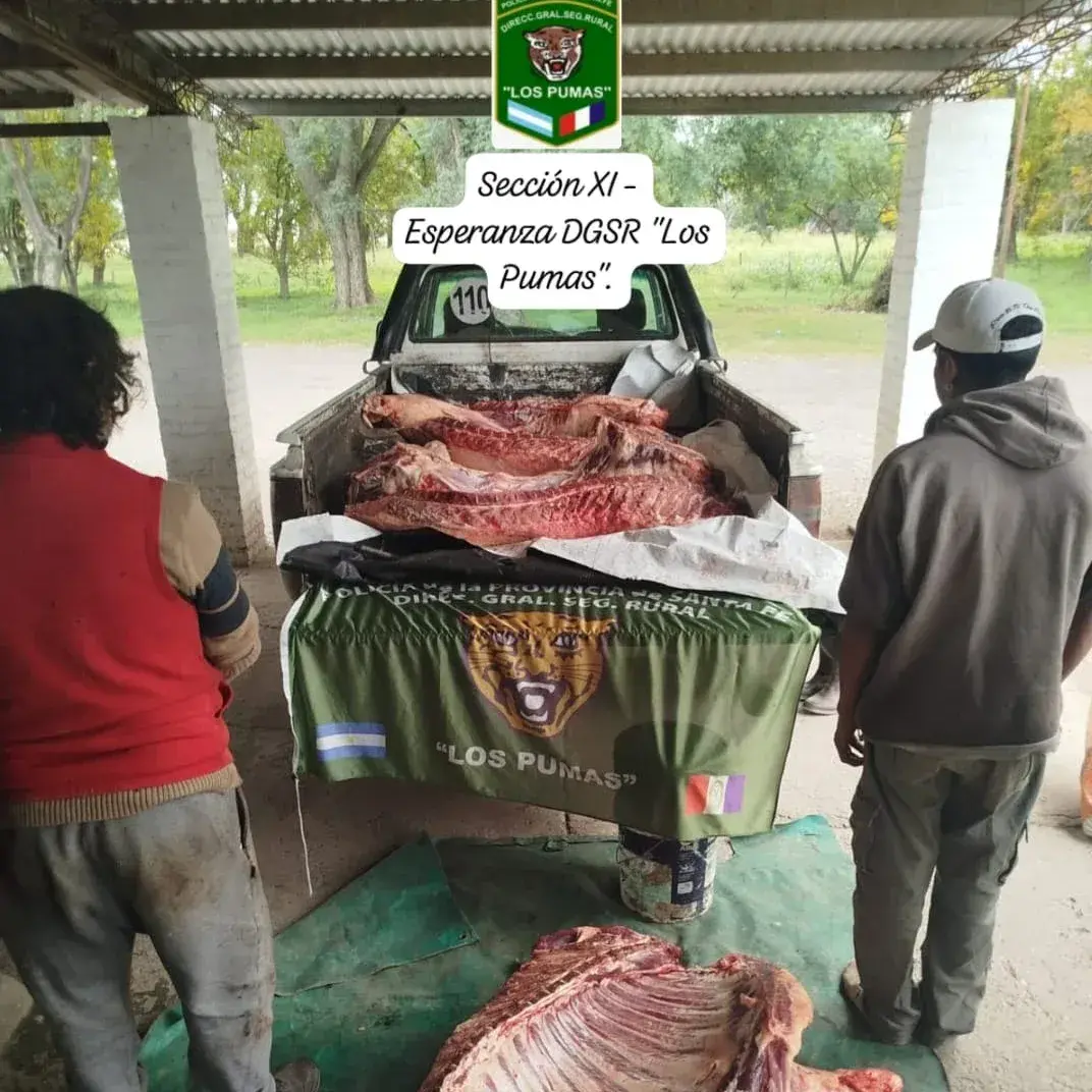 Secuestraron carne vacuna transportada sin condiciones sanitarias en Esperanza
