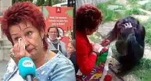 Le prohíben la entrada al zoológico por tener una conexión especial con un chimpancé