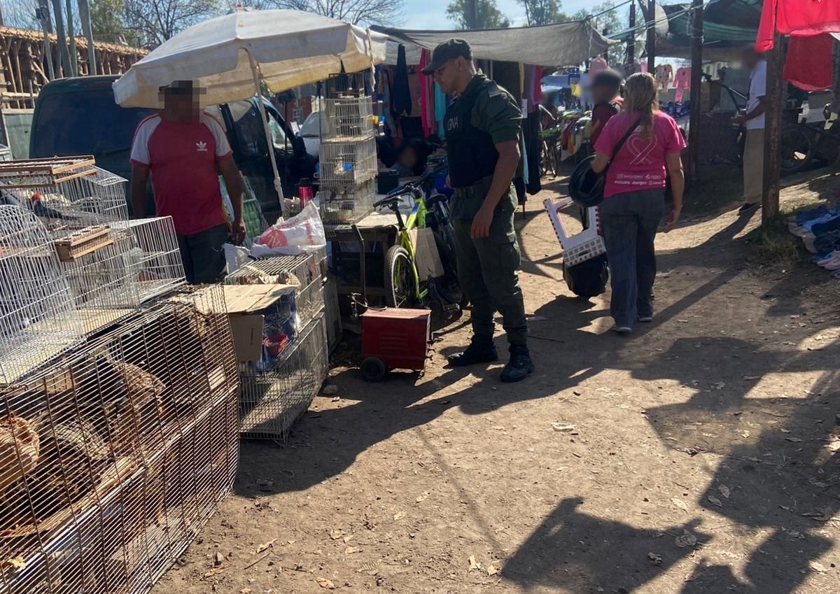 Secuestraron aves en Varela