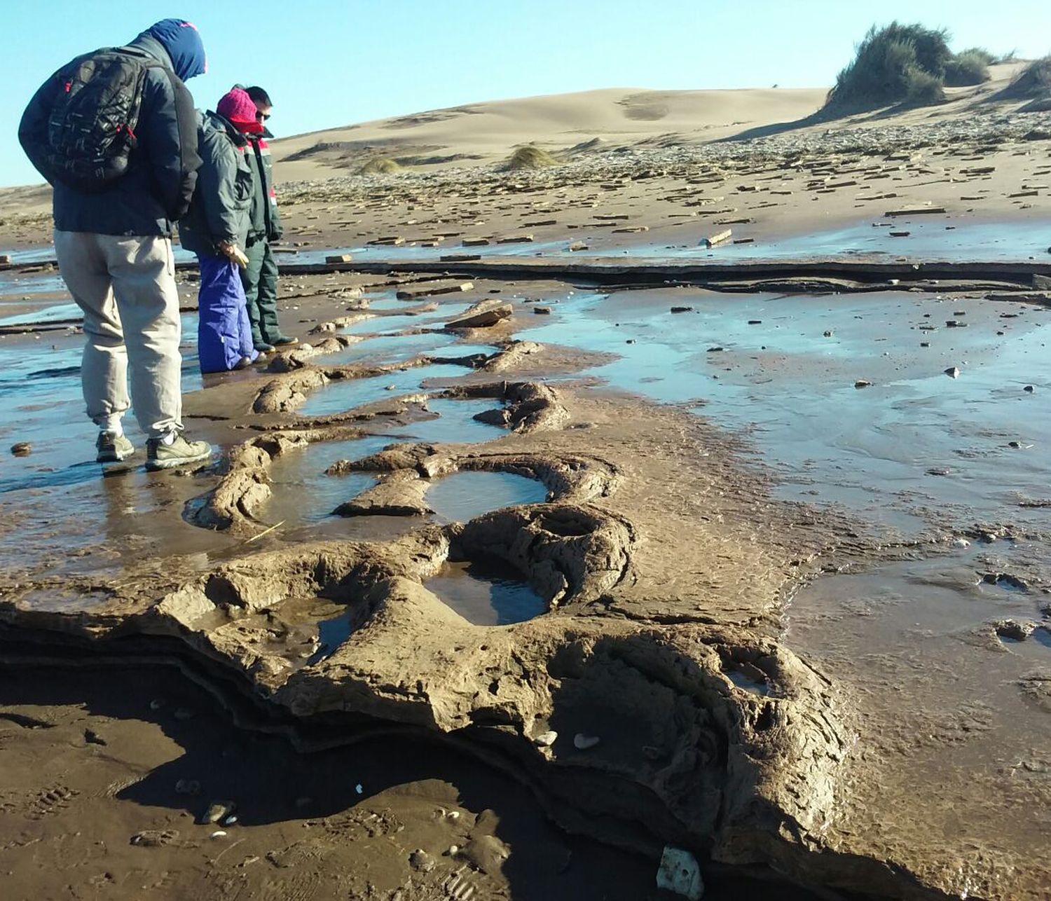 Pehuen Co, entre los destinos recomendados por la Provincia por su zoológico petrificado 