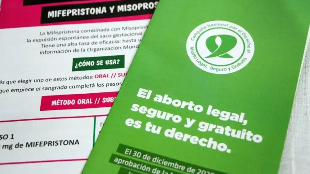 El aborto legal bajo la lupa.