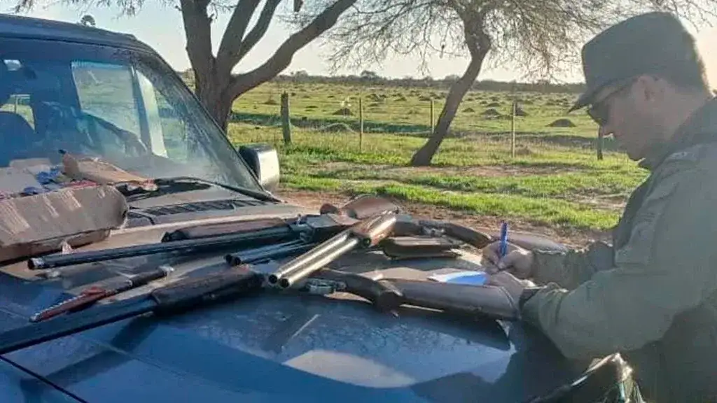 Los Pumas secuestraron armas, más de 200 municiones y 300 kilos de carne vacuna en dos operativos - 3