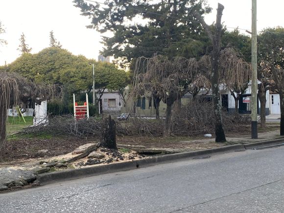 “¿Es decoración?”: queja de vecinos por el abandono en la plazoleta
