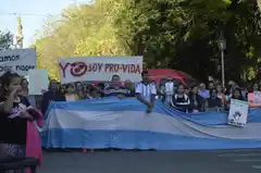 “Salvemos Las Dos Vidas”