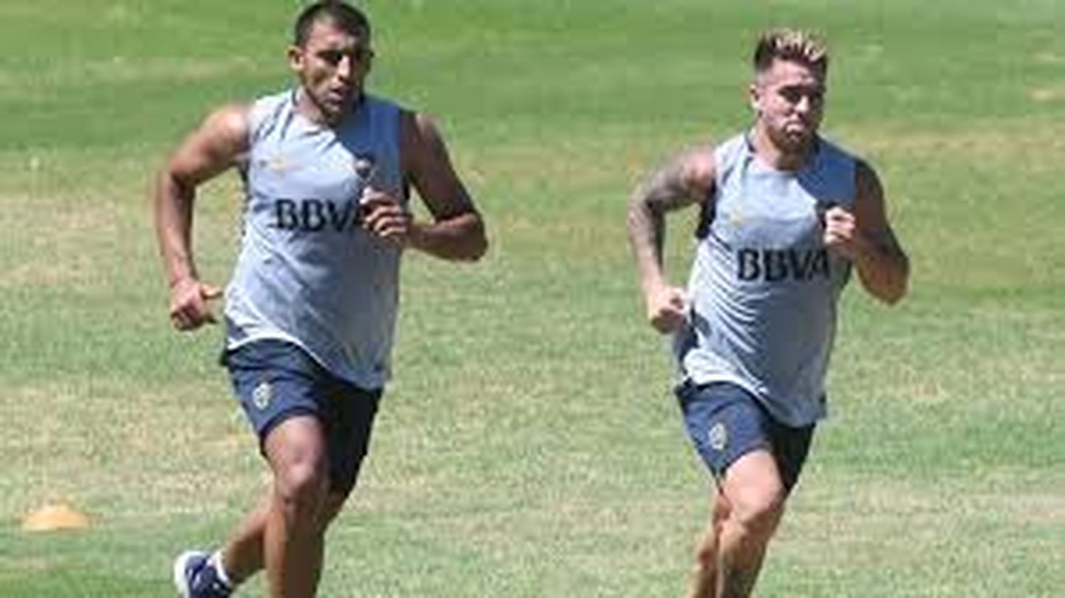 Abila y Almendra están recuperados de sus lesiones