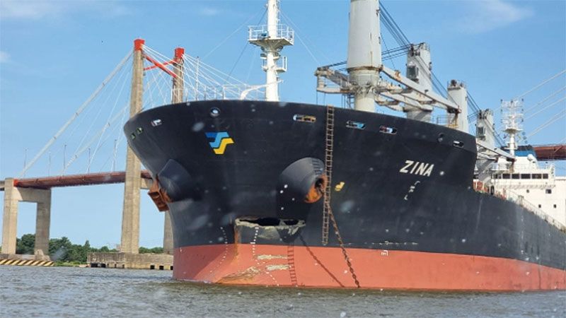 Barco chocó puente Zárate-Brazo Largo