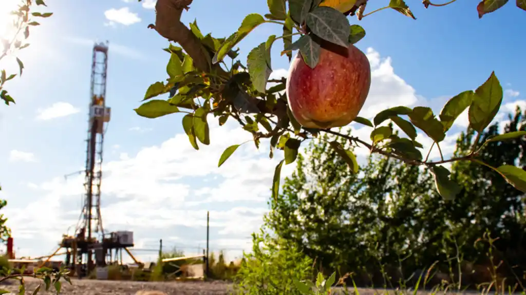 Vaca Muerta se está comiendo las peras y las manzanas