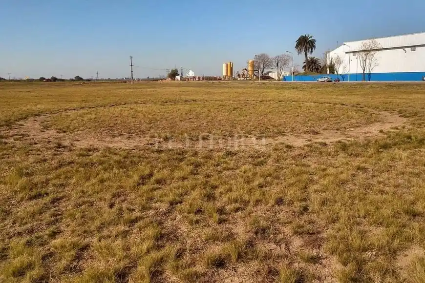 ¿Ovnis en Gualeguaychú? Ufólogos investigan extrañas huellas vistas por Google Maps