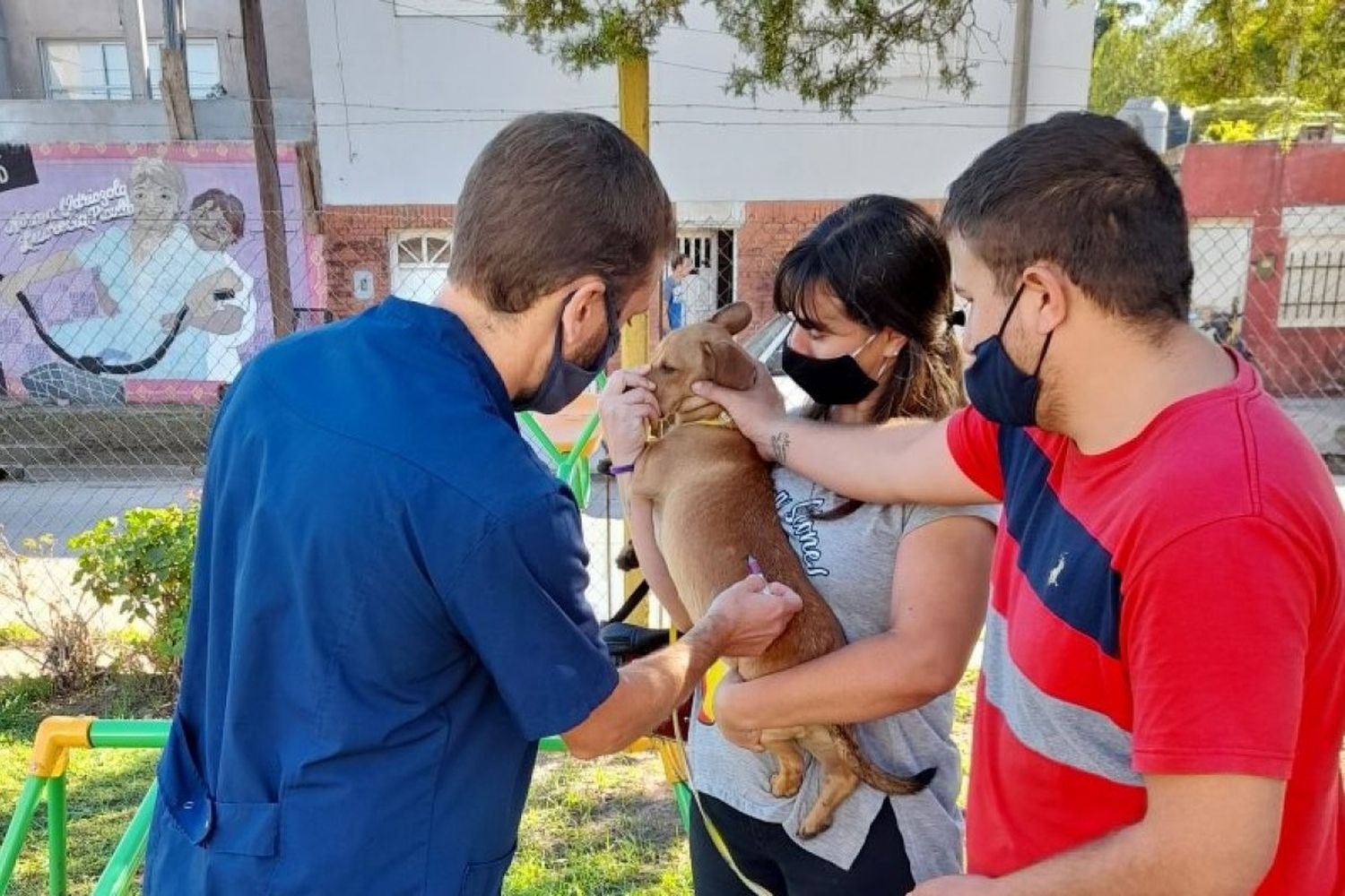 Continúa la Campaña de Vacunación Antirrábica en la ciudad