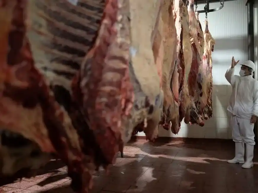 Las exportaciones argentinas de carne vacuna registraron en noviembre una baja inusual.