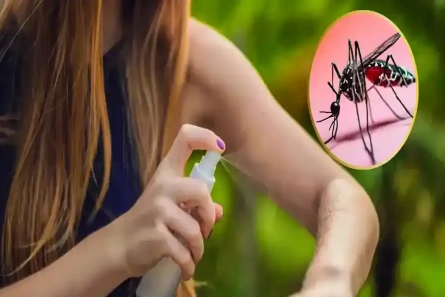 SIgue bajando la curva del dengue en toda la Provincia