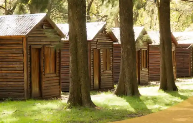 Verano 2022 en Moreno: Una opción diferente en Reserva Los Robles