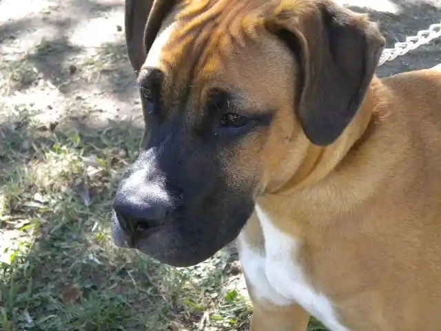 “Habla muy bien de una persona el cuidar a los animales como hermanos del alma”
