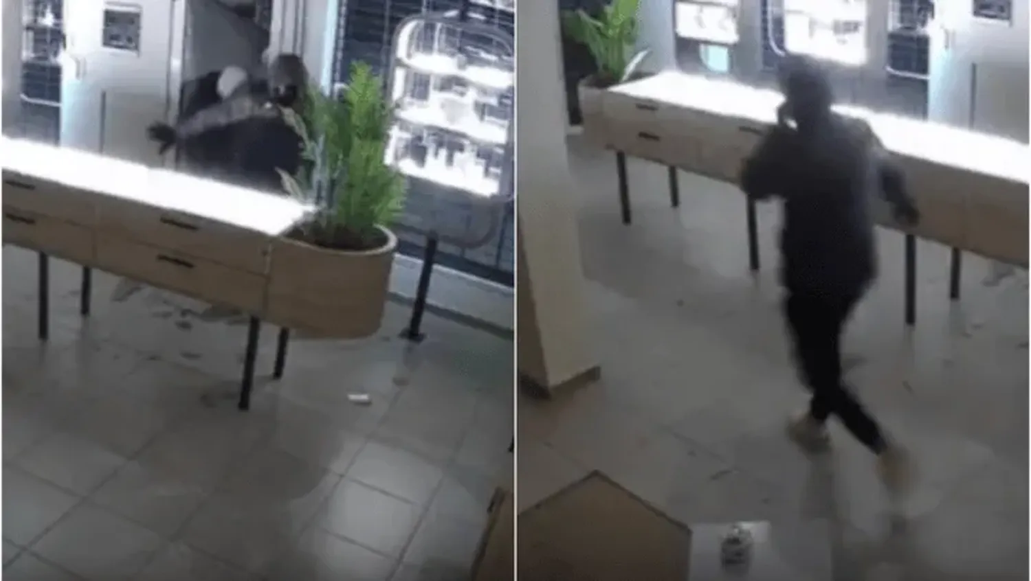 Video: delincuentes destrozaron un local y se llevaron celulares de alta gama